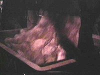 B41391.JPG