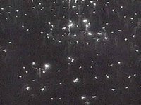 B20776.JPG