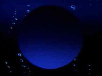 52200.JPG