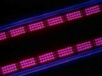 43100.JPG