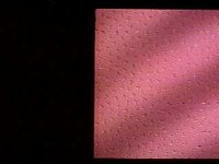 130600.JPG