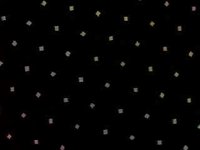 123000.JPG