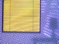 117000.JPG
