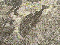 B41058.JPG