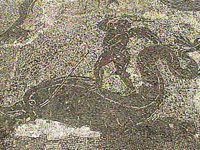 B41057.JPG