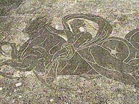 B41056.JPG