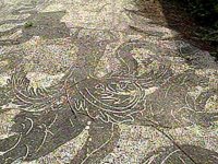 B41054.JPG
