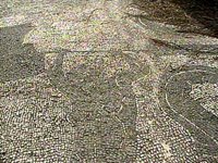 B41052.JPG