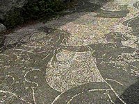 B41045.JPG