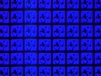 88400.JPG