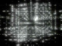 137000.JPG