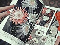 B10507.JPG