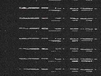 B7704.JPG