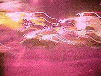 B7590.JPG