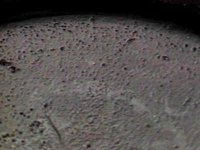 B45198.JPG