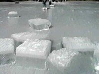 B43980.JPG