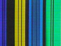 B11281.JPG