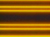 B11217.JPG