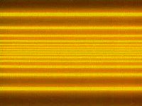B11216.JPG