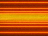 B11215.JPG