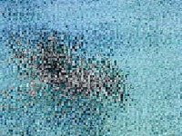 B10256.JPG