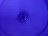 91300.JPG