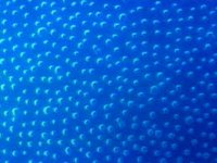 166000.JPG