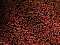 165900.JPG