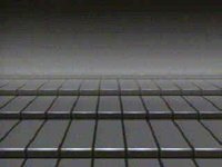 133700.JPG