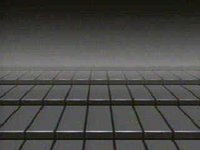 133600.JPG