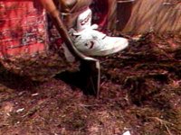 B46455.JPG