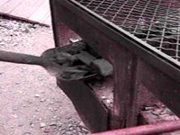 B46411.JPG