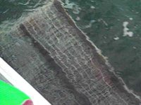 B46075.JPG