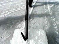 B43979.JPG