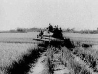 B18657.JPG