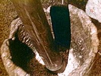 B10735.JPG