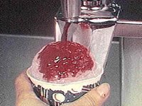 B8225.JPG