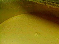 B47029.JPG