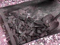 B46409.JPG
