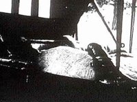 B27794.JPG