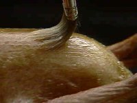 413400.JPG