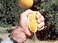 B9794.JPG