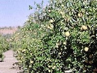B9785.JPG