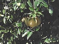 B9468.JPG