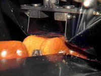 B47005.JPG