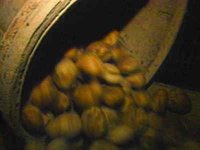B46826.JPG