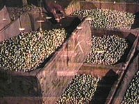 B41340.JPG