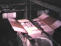 B41308.JPG