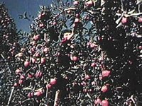B41303.JPG