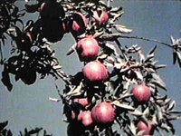 B41300.JPG